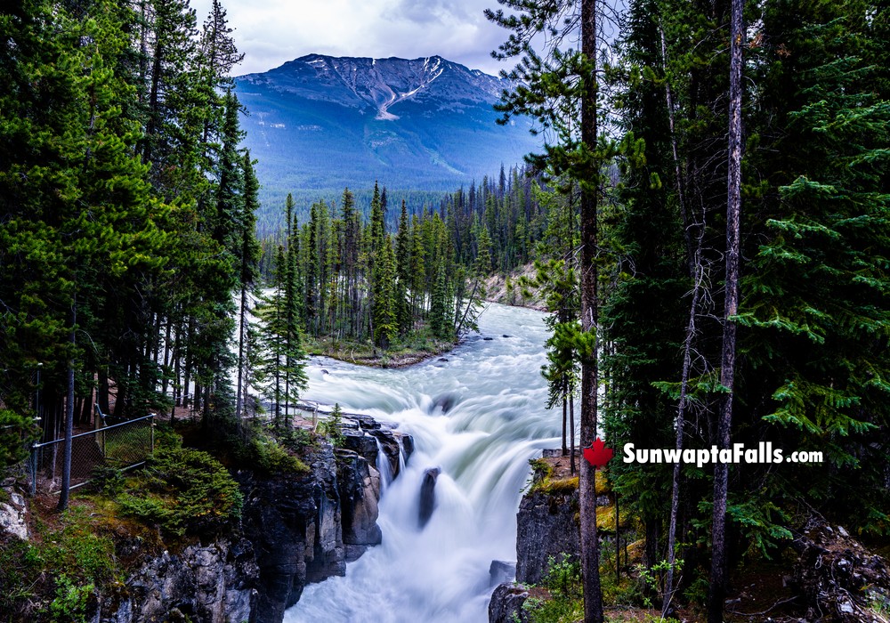 Sunwapta Falls Bridge Views