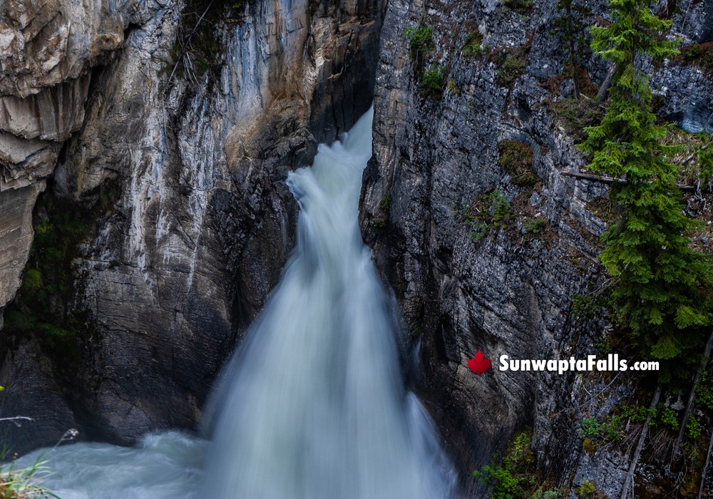 Close Look at Lower Sunwapta Falls