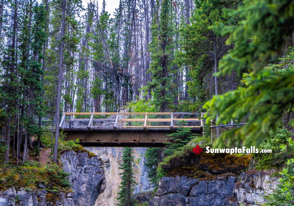 Main Viewing Bridge at Sunwapta Falls