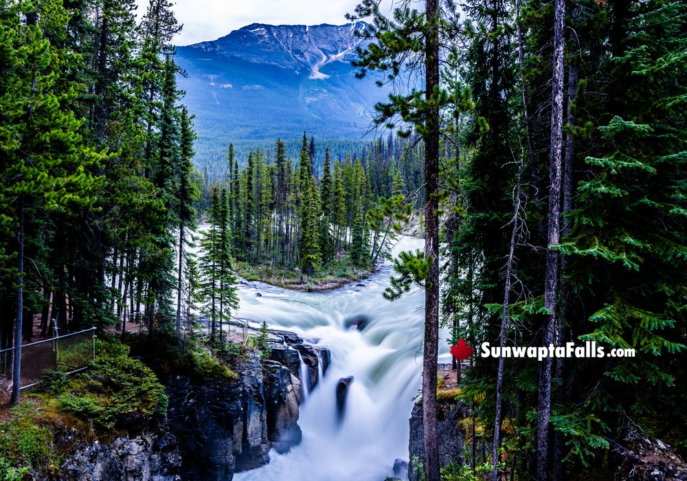 Main Sunwapta Falls Viewing Platform