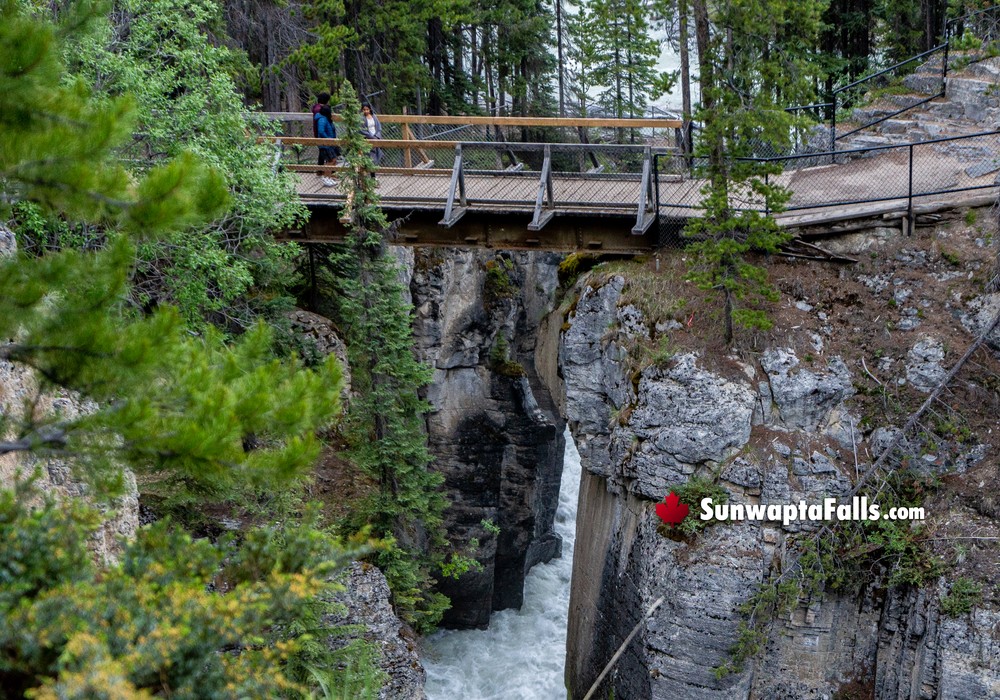 Sunwapta Falls Walking Bridge Views