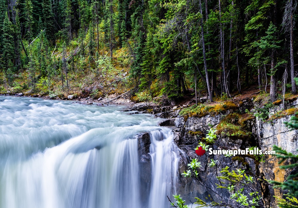 South Side of Sunwapta Falls