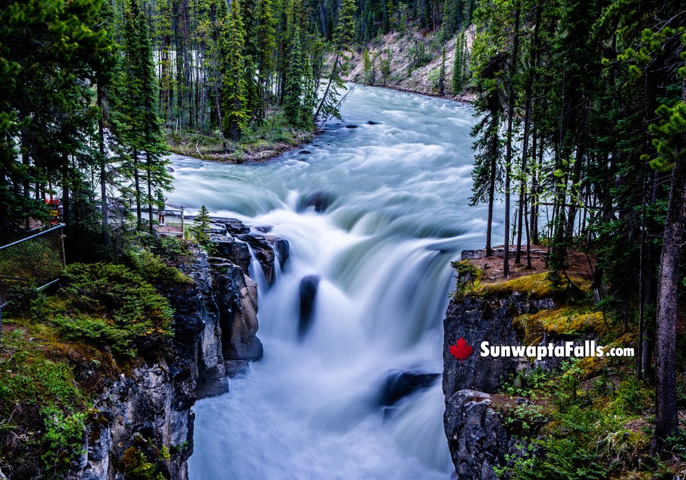 Sunwapta Falls Through the Months