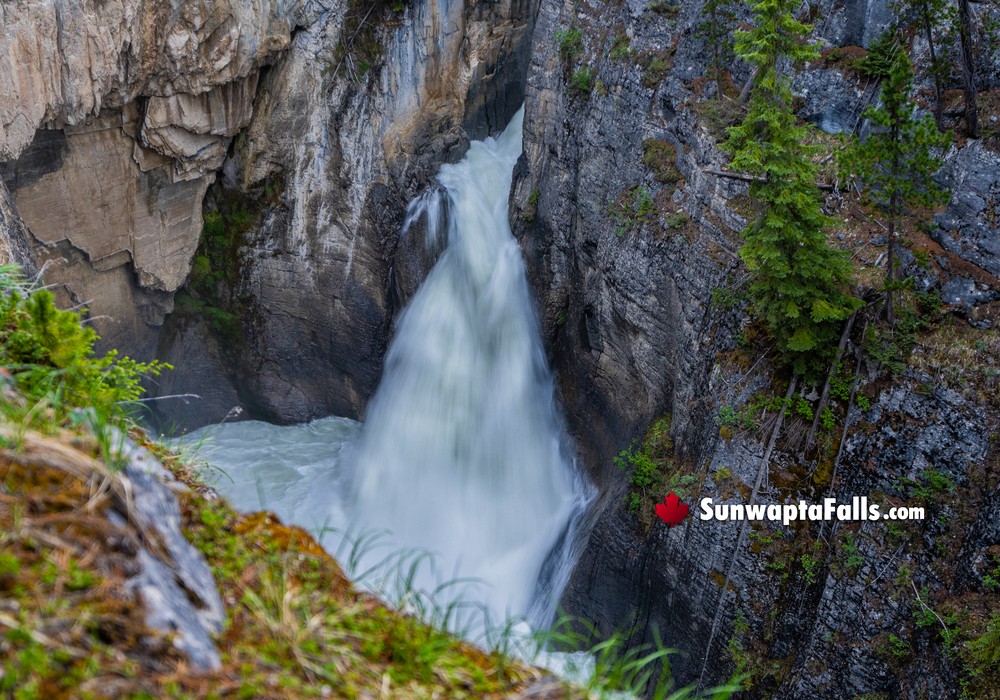 Views Walking Along Sunwapta Falls Trails