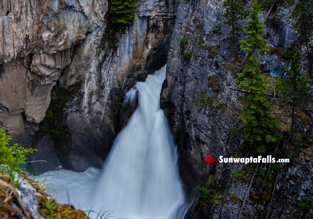 Walk to View Lower Sunwapta Falls