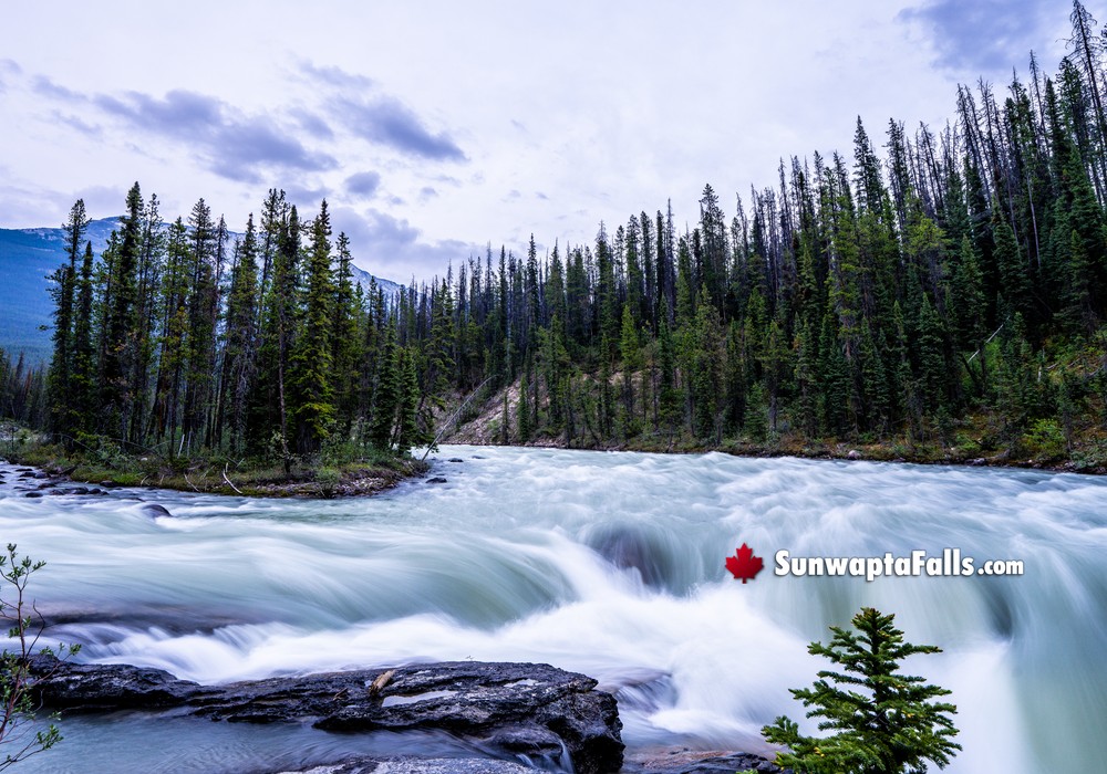 What Feeds Sunwapta Falls?