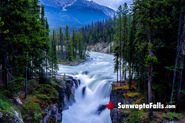 Sunwapta Falls