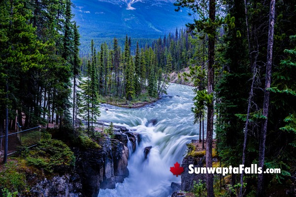 Jasper National Park's Beautiful Sunwapta Falls