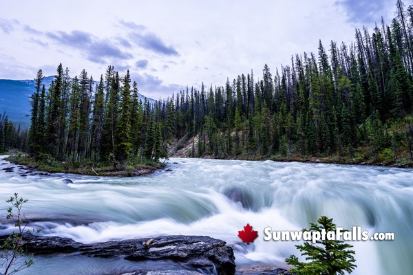 Sunwapta Falls and River Lower Walking View