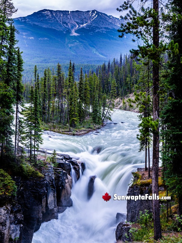 Sunwapta-Falls Main Walking View