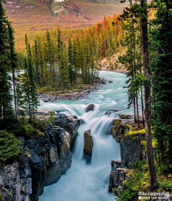 Sunwapta Falls